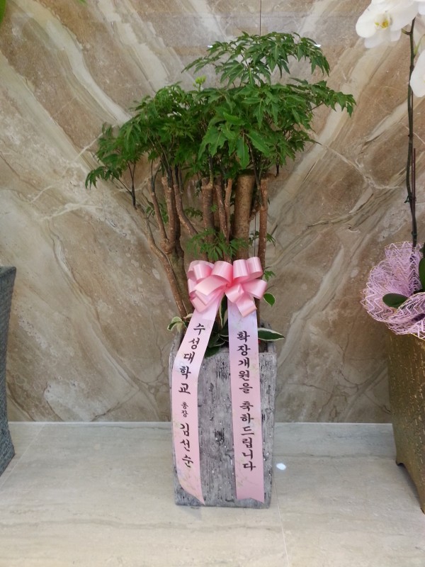 20150714_142801.jpg