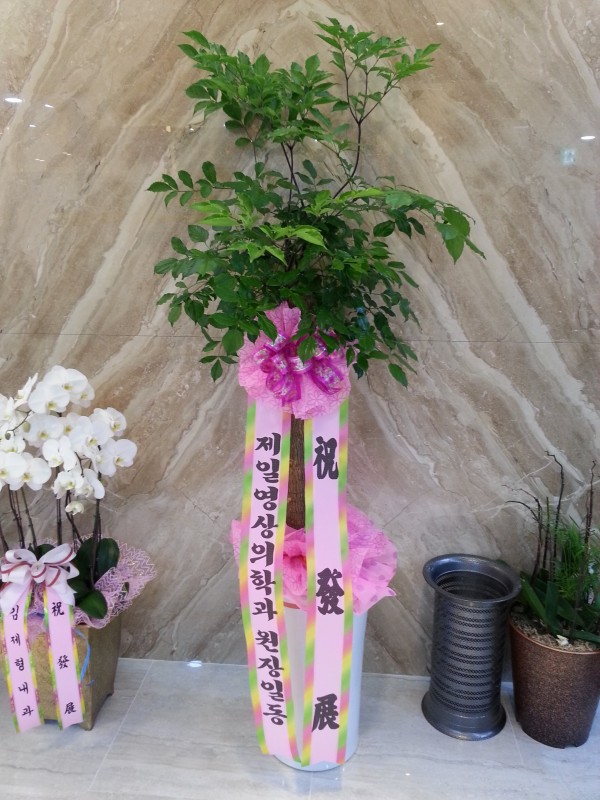 20150714_142828.jpg