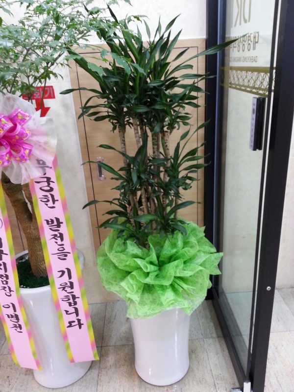 20150714_142903.jpg