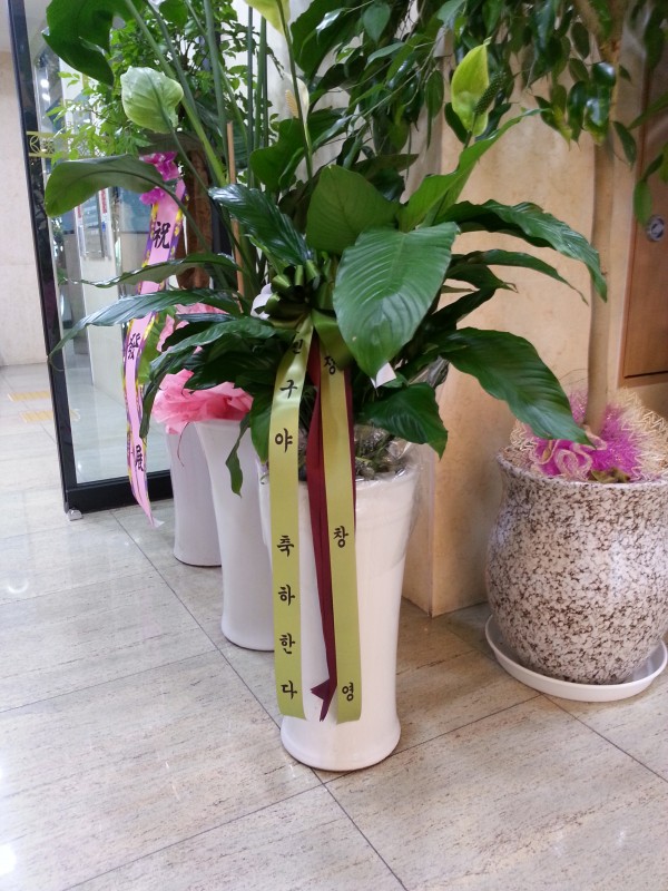 20150714_142949.jpg