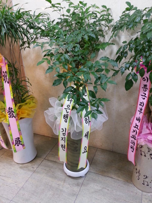 20150714_143012.jpg