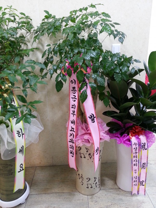 20150714_143024.jpg